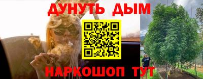гидра Кулебаки