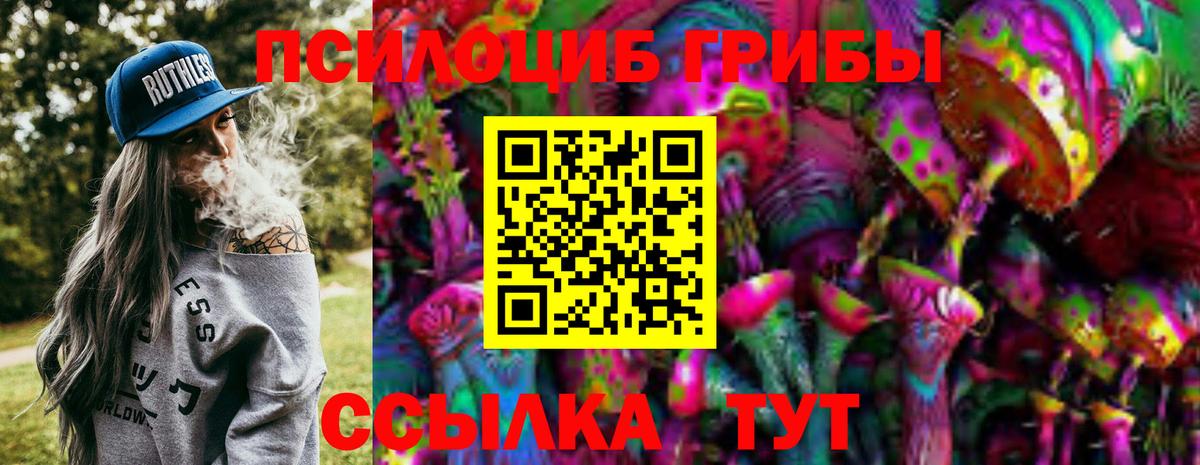 Псилоцибиновые грибы мицелий Кызыл