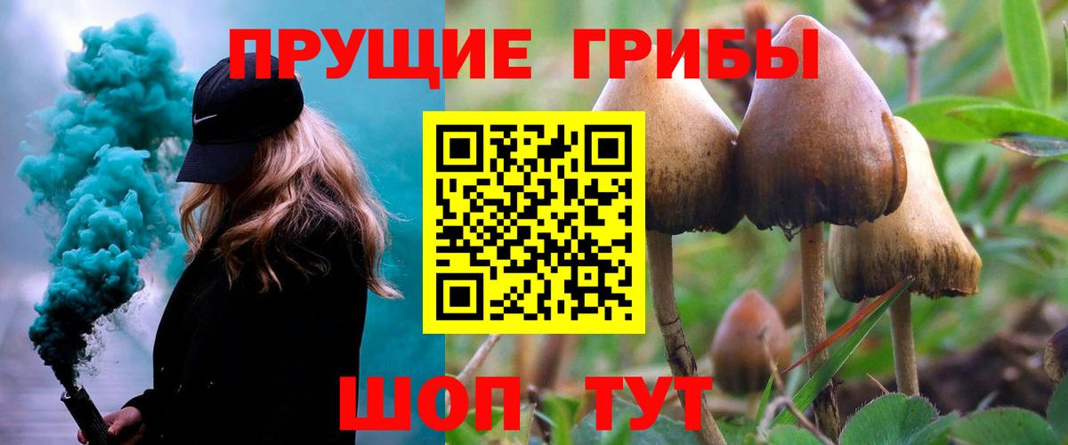 Галлюциногенные грибы Psilocybe  Галлюциногенные грибы Magic Shrooms  Кызыл  Вход с VPN 